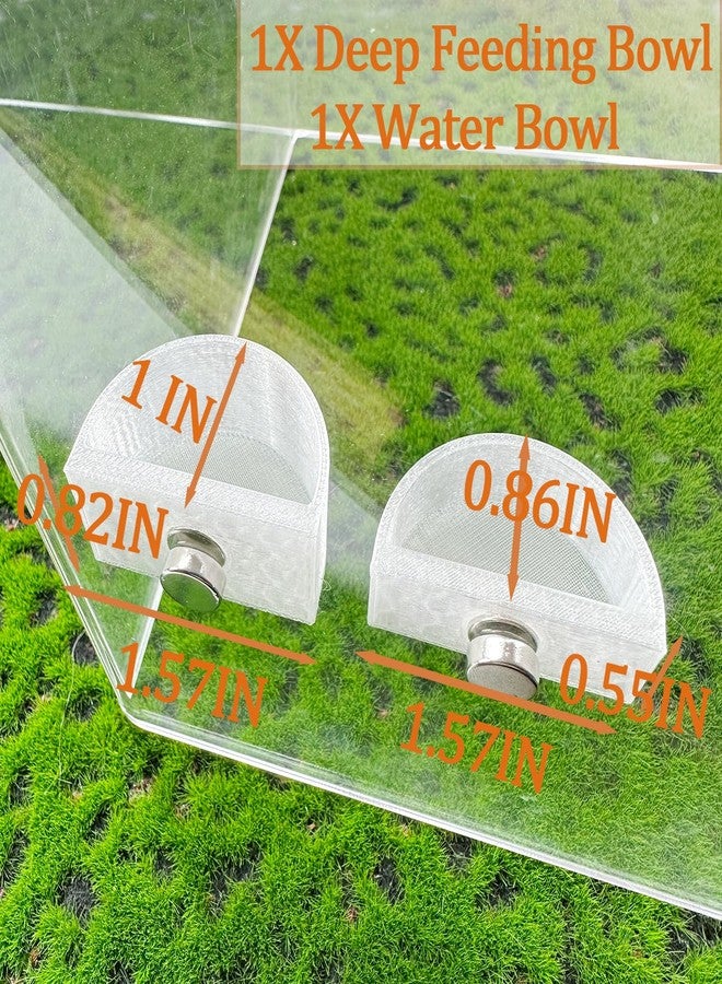 قطعتان من أطباق إطعام العناكب القافزة، أطباق طعام صغيرة، طبق ماء مع ملقط، قطارة، وفرشاة تنظيف للعناكب القافزة، والرتيلاء، وغيرها من الحيوانات الأليفة الصغيرة، نصف دائرية - Image 4